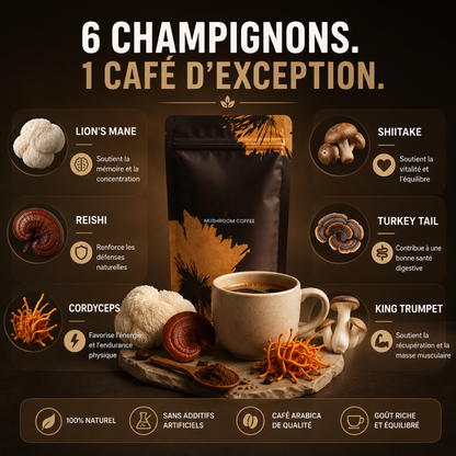 ProteinPlus MYCO — Café soluble aux 6 champignons