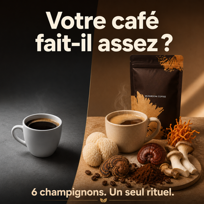 ProteinPlus MYCO — Café soluble aux 6 champignons