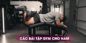 các bài tập gym cho nam