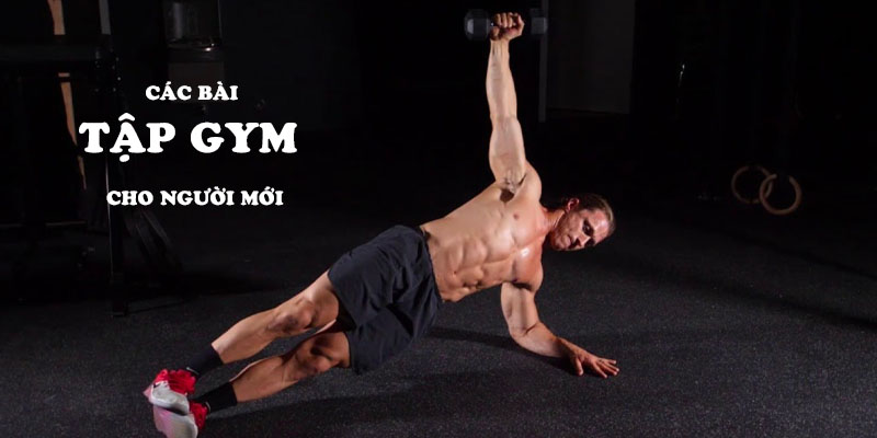 các bài tập gym cho người mới