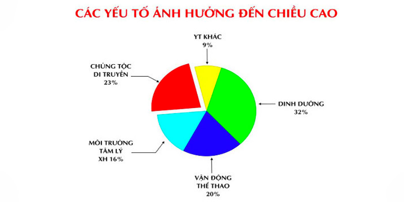 Các yếu tố gây ảnh hưởng đến chiều cao