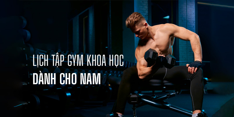 Lịch tập gym khoa học dành cho các bạn nam