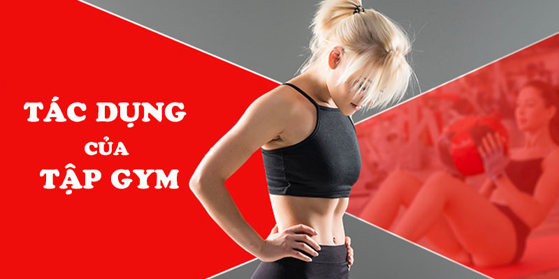 tác dụng của tập gym